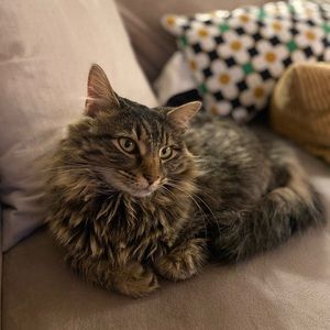 Meet your Posher, Emily